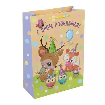 Подарочный пакет ЧУДО ПРАЗДНИК P2SML-114905-O