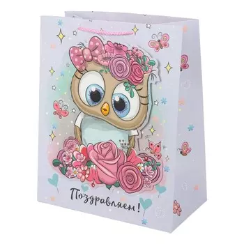 Подарочный пакет ЧУДО ПРАЗДНИК PAL-114619-OW