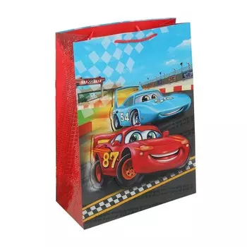 Подарочный пакет ЧУДО ПРАЗДНИК PAXL-113313-CAR