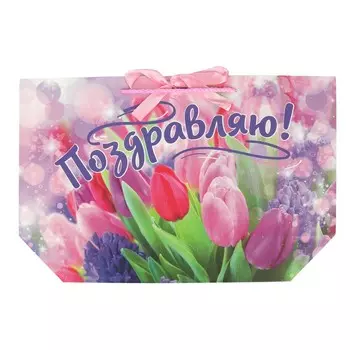 Подарочный пакет ЧУДО ПРАЗДНИК PBL-114648-FLW