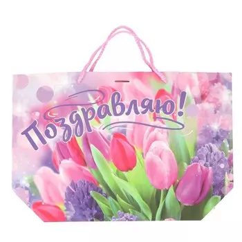 Подарочный пакет ЧУДО ПРАЗДНИК PBML-115900-FLW