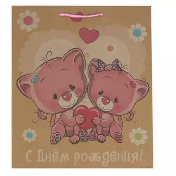 Подарочный пакет ЧУДО ПРАЗДНИК PKL-113360-CAT