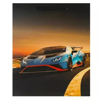 Подарочный пакет ЧУДО ПРАЗДНИК PL-102346-LG