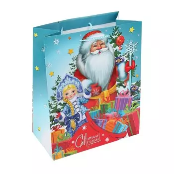 Подарочный пакет ЧУДО ПРАЗДНИК PL-102374-NG1