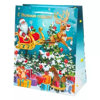 Подарочный пакет ЧУДО ПРАЗДНИК PL-102376-NG3