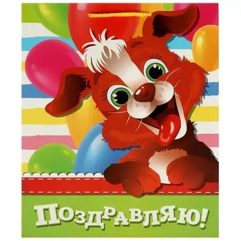 Подарочный пакет ЧУДО ПРАЗДНИК PL-102960-PZDR