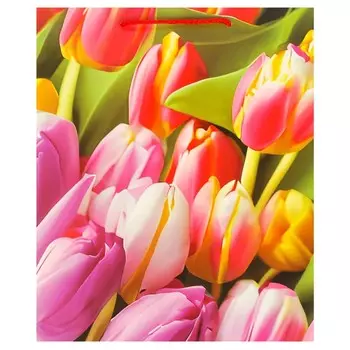 Подарочный пакет ЧУДО ПРАЗДНИК PL-104855-FLWR1