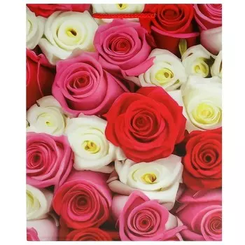 Подарочный пакет ЧУДО ПРАЗДНИК PL-104856-FLWR2