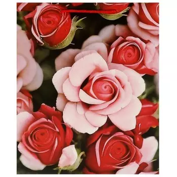 Подарочный пакет ЧУДО ПРАЗДНИК PL-104857-FLWR3