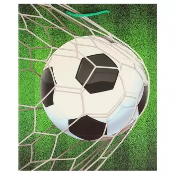 Подарочный пакет ЧУДО ПРАЗДНИК PL-107420-FB