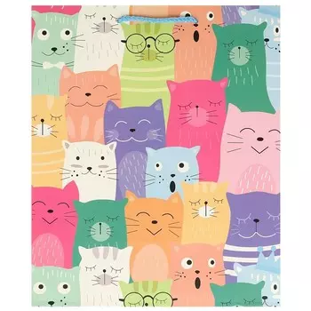 Подарочный пакет ЧУДО ПРАЗДНИК PL-107894-C1