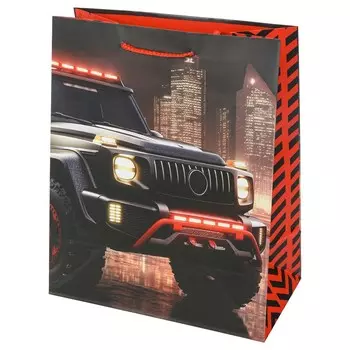 Подарочный пакет ЧУДО ПРАЗДНИК PL-107898-A