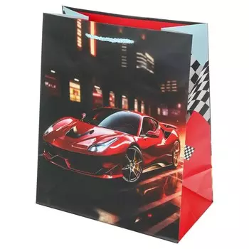 Подарочный пакет ЧУДО ПРАЗДНИК PL-109935-F