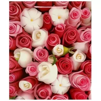 Подарочный пакет ЧУДО ПРАЗДНИК PL-110081-R