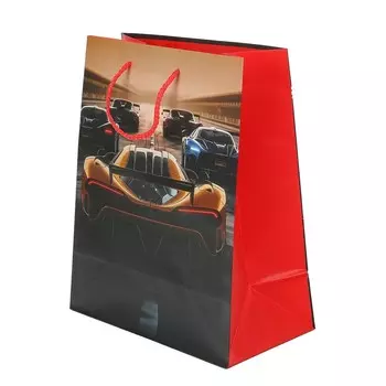 Подарочный пакет ЧУДО ПРАЗДНИК PL-113359-B