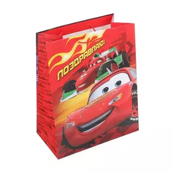 Подарочный пакет ЧУДО ПРАЗДНИК PL-122054-C