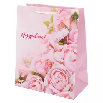 Подарочный пакет ЧУДО ПРАЗДНИК PL-122148-FW3