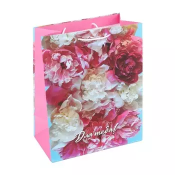 Подарочный пакет ЧУДО ПРАЗДНИК PL-123032-FW7