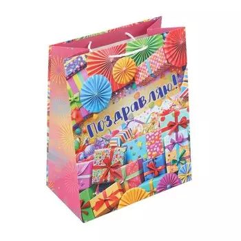 Подарочный пакет ЧУДО ПРАЗДНИК PL-123149-HBZ8