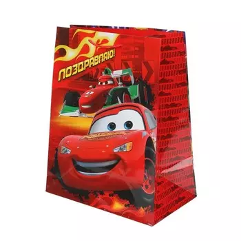 Подарочный пакет ЧУДО ПРАЗДНИК PL-123409-C2