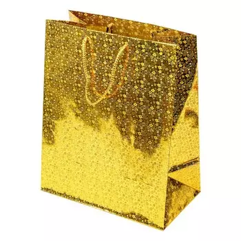 Подарочный пакет ЧУДО ПРАЗДНИК PL-123957-GM4