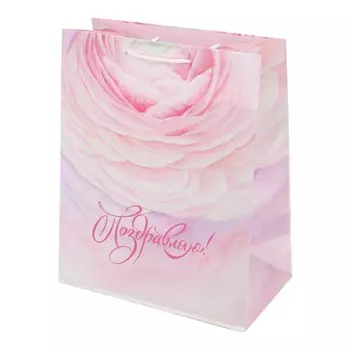 Подарочный пакет ЧУДО ПРАЗДНИК PL-124709-GR