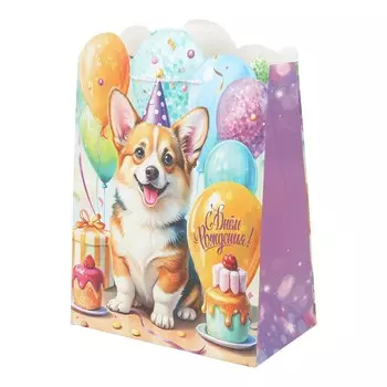 Подарочный пакет ЧУДО ПРАЗДНИК PL-130113-CG