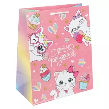 Подарочный пакет ЧУДО ПРАЗДНИК PL-130121-CAT