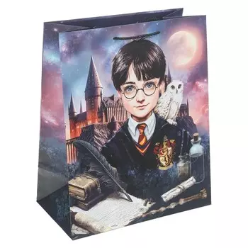 Подарочный пакет ЧУДО ПРАЗДНИК PL-130218-HP