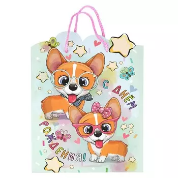 Подарочный пакет ЧУДО ПРАЗДНИК PLF-114618-C