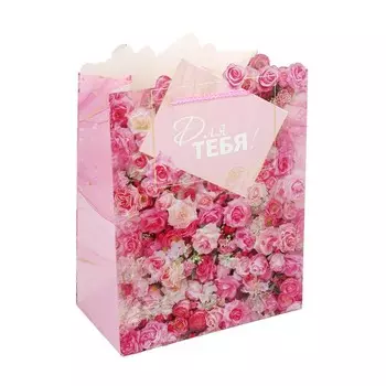 Подарочный пакет ЧУДО ПРАЗДНИК PLF-117659-FW2