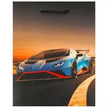 Подарочный пакет ЧУДО ПРАЗДНИК PM-102337-LG