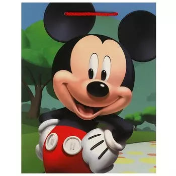 Подарочный пакет ЧУДО ПРАЗДНИК PM-102379-MK