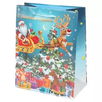 Подарочный пакет ЧУДО ПРАЗДНИК PM-102383-NG3