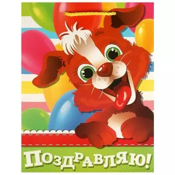 Подарочный пакет ЧУДО ПРАЗДНИК PM-102958-PZDR