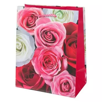 Подарочный пакет ЧУДО ПРАЗДНИК PM-104396-FLWR