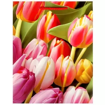 Подарочный пакет ЧУДО ПРАЗДНИК PM-104397-FLWR1