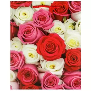 Подарочный пакет ЧУДО ПРАЗДНИК PM-104398-FLWR2