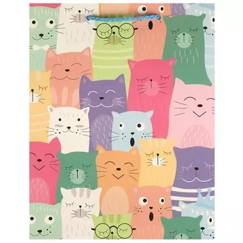 Подарочный пакет ЧУДО ПРАЗДНИК PM-107469-C1