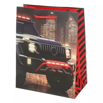 Подарочный пакет ЧУДО ПРАЗДНИК PM-107496-A