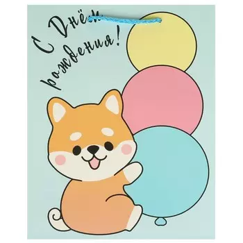 Подарочный пакет ЧУДО ПРАЗДНИК PM-108854-C2HB