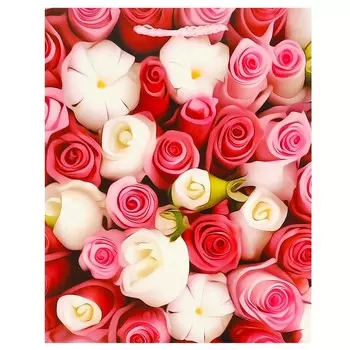 Подарочный пакет ЧУДО ПРАЗДНИК PM-110086-R