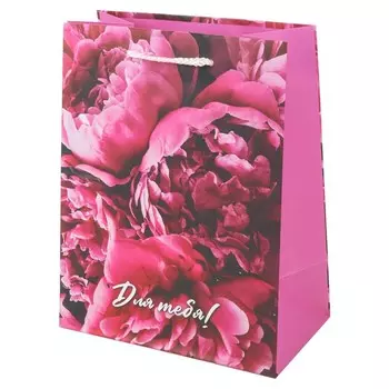 Подарочный пакет ЧУДО ПРАЗДНИК PM-122138-FW1