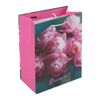 Подарочный пакет ЧУДО ПРАЗДНИК PM-123021-FW6