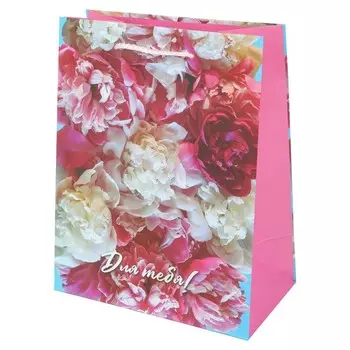 Подарочный пакет ЧУДО ПРАЗДНИК PM-123030-FW7