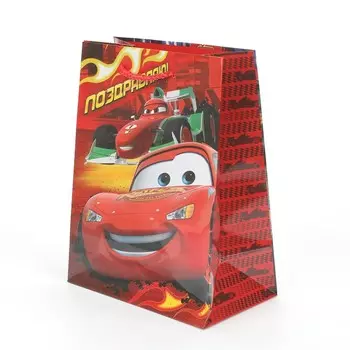 Подарочный пакет ЧУДО ПРАЗДНИК PM-123407-C2