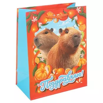 Подарочный пакет ЧУДО ПРАЗДНИК PM-128832-KA