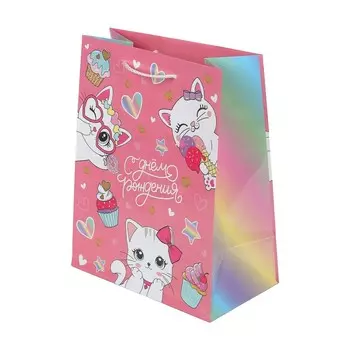 Подарочный пакет ЧУДО ПРАЗДНИК PM-130119-CAT