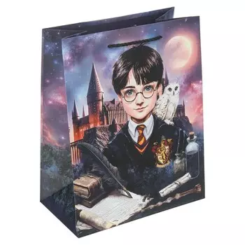 Подарочный пакет ЧУДО ПРАЗДНИК PM-130216-HP