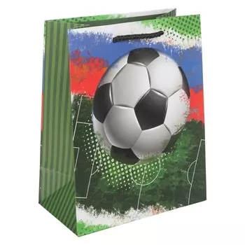 Подарочный пакет ЧУДО ПРАЗДНИК PM-130221-FB